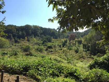 161015-1.jpg