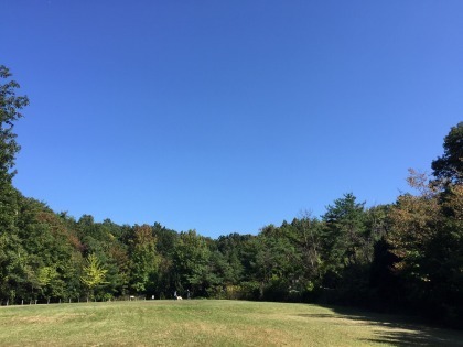 161015-3.jpg